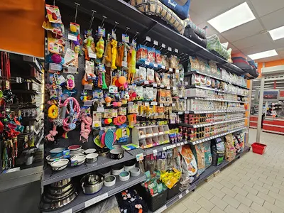 Ale Animale Świętochłowice Omni Centrum